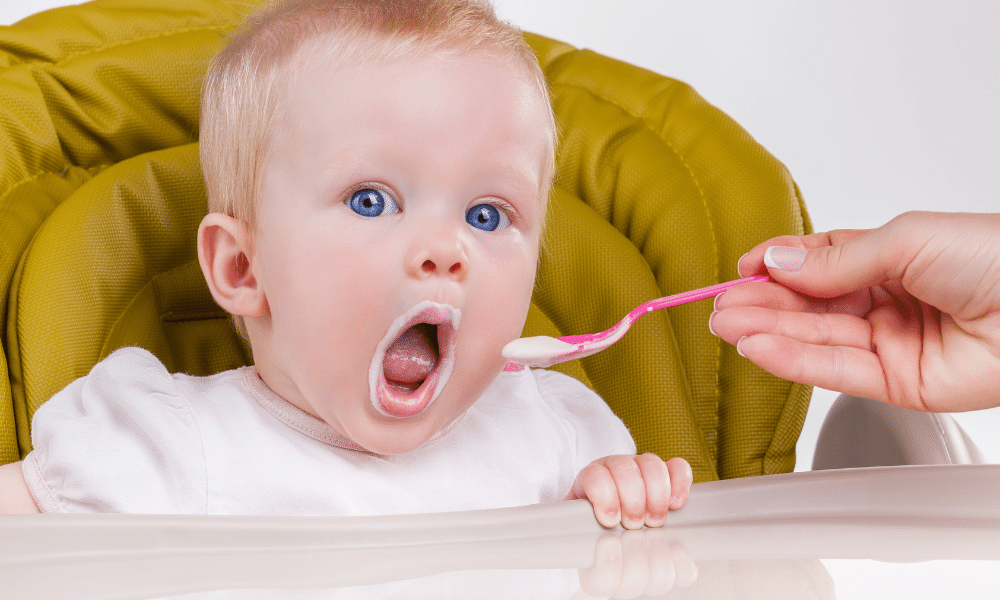 5 Factors that Affect the Baby Food Production Line