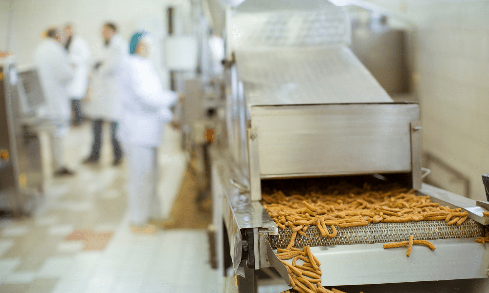 Snack Food Production Line: The New Way To Create Delicious Inexpensive Snacks