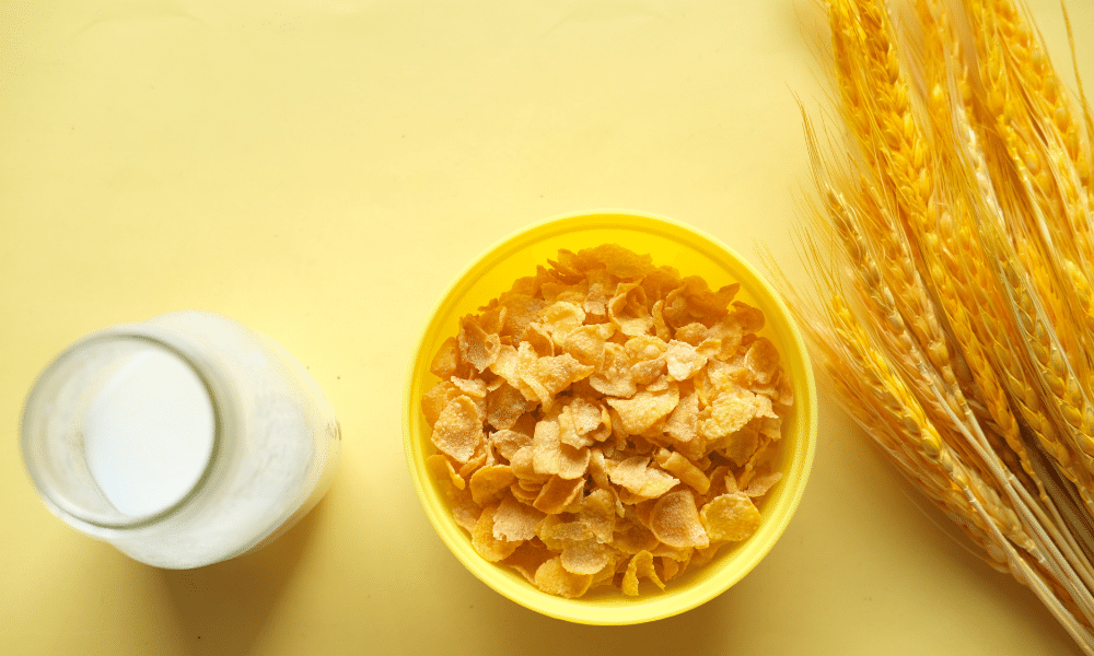 5 Most Common Corn Flakes Production Line Issues